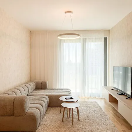 New Bright 1br Metropolis Downtown Ac Free Parking Apartment